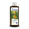 Spitzner Sauna Infusion Wellness Mandarin (190 ml) Concentrate