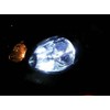 XenTec H11 10000K HID Xenon Bulb (1 Pair, Sky Blue