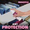 NatureStop Ant Killer Spray for Indoor Use, Fast-Acting Ant Control,