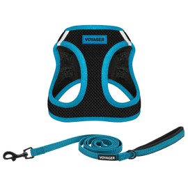 Voyager Step-in Air All Weather Mesh Harness Dog 5 ft Leash Combo with Neoprene Handle, for Small, Medium and Large Breed Puppies - Blue Trim, XS (Chest: 13 - 14.5") (207TS-BU-TQ-XS)