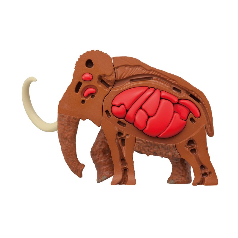 Demolition Puzzle Science Mammoth Restoration Puzzle