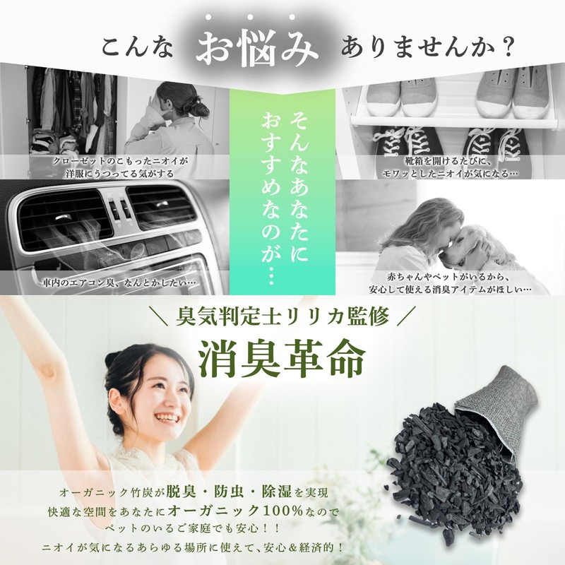 HouseCloud Odor Determinant Lyrica Bamboo Charcoal Deodorizer Bags 50g x