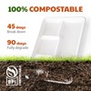 Joyborn Compostable 5-Compartment Paper Plates, 100 count, 12.5 x 8.6