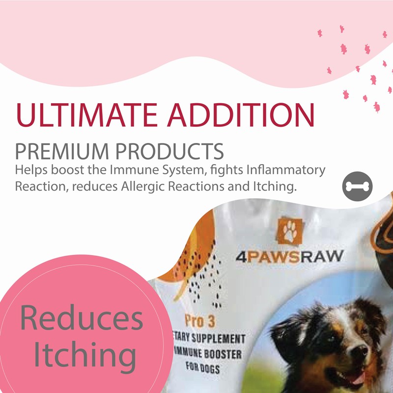 4PAWSRAW Dog Multivitamins & Minerals Supplement Immunity Booster Dietary Supplements