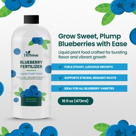 16oz Blueberry Fertilizer - Makes 16 Gallons of Fruit Tree Fertilizer for Blueberries, Liquid Plant Food for Sweet, Plump Blueberry Plants, Instant Plant Food That Promotes Growth & Abundant Harvests