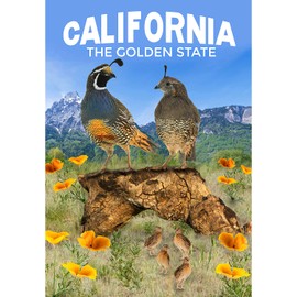 America Forever California State Garden Flag- 12.5 x 18 inches - California Quail Family USA Regional Yard Outdoor Decorative Double Sided Flag