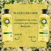 Shampoo Herbal Essences Brillo Manzanilla & Pasiflora 400 ml