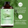 Handcraft Blends Handcraft Rosemary Essential Oil - Huge 4 OZ