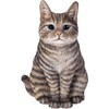Vivid Arts Sitting Cats (Tabby Cat)