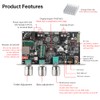 Diymore ZK-1001U Mono Amplifier Board, Bluetooth 5.3 100W TPA3116D2 Audio