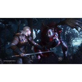 The Witcher III (3): Wild Hunt (Game of The Year Edition)