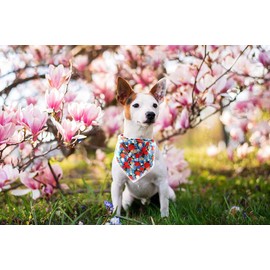 Lionheart glory Dog Bandana 1 Pack Washable Soft Cotton Floral Print Bibs Scarf, Adjustable Kerchief Square Dog Bandanas for Large Dogs