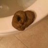 Qintreesify Fake Poopy Toy, Brown Realistic Fake Poop, Novelty Floating
