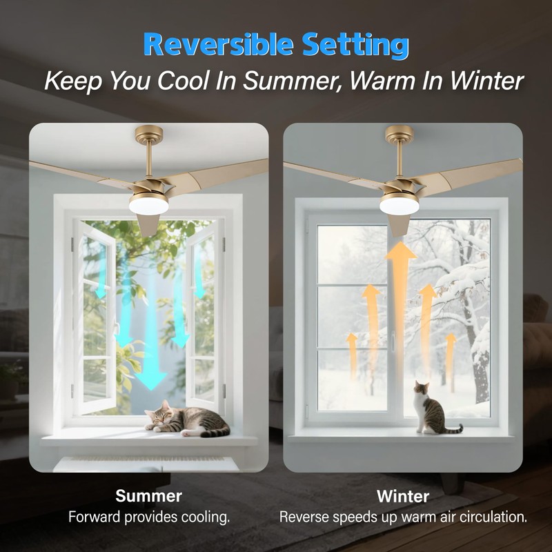 Esiovco Ceiling Fan with Lights and Remote, 3 Blade App