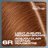 Clairol Clairol Root Touch-Up Permanent Hair Dye, 6R Light Auburn
