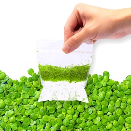 SubstrateSource Live Duckweed (Odorless) - Floating Plant for Freshwater Aquascaping, Turtle Food, Goldfish, Koi, Pond, Terrarium, Betta Fish Tank - Lemna Minor (Aproximately 2000 Plants), 4x4 Bag