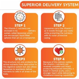 liposomal Vitamin C, Support Digestion, Memory, Skin Radiance