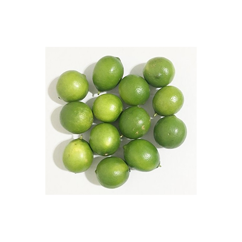 5 Lb Fresh Persian Limes, Pack of 1