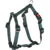 Ziggi H-Harness Dark Green S 35-50 cm 15 mm