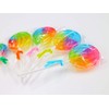 100 count rainbow pop candy (candy with sticks)