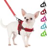 SlowTon No Pull Small Dog Harness and Leash Set, Puppy