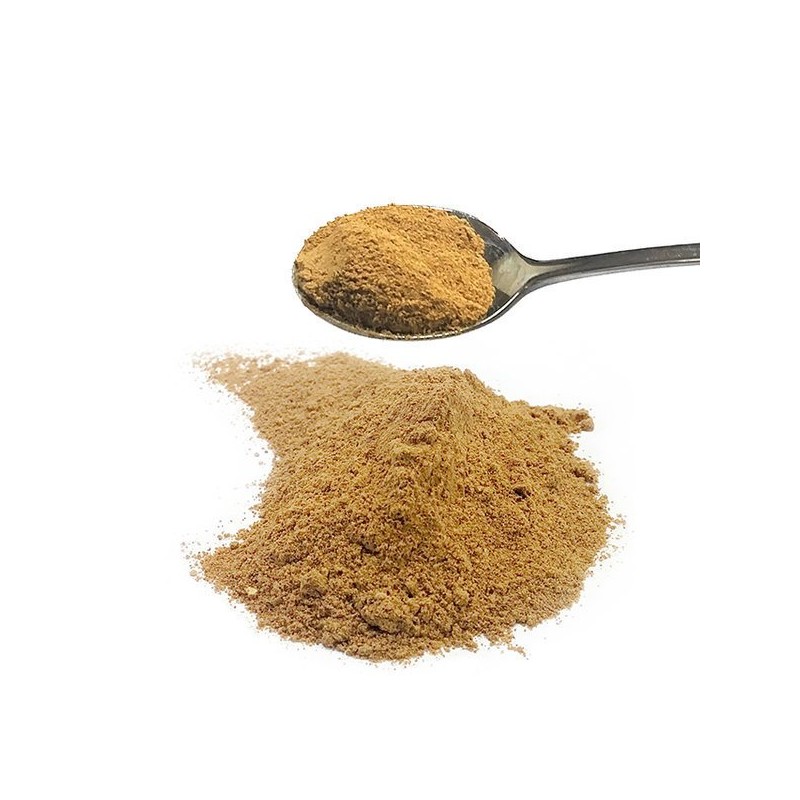 금흑분 흑삼분말 110g (구증구포 흑삼 100%) 안심GAP Black Ginseng Powder