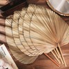Chenkaiyang 5 Pcs Large Dried Palm Leaves Bulk,18" H x