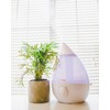 Crane Ultrasonic Humidifiers for Bedroom and Office, 1 Gallon Cool
