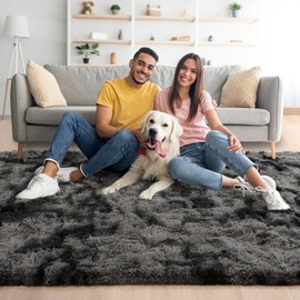 Noahas Large Fluffy 6x9 Area Rugs for Living Room Bedroom,Tie-Dyed Dark Grey Thick Shag Throw Rug,Big Soft Shaggy Bedside Non-Slip Plush Dorm Nursery Kids Carpet