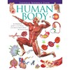 Universal Reference Guide - HUMAN BODY (Universal Reference Guides)