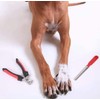 REDLIZARD Cortauñas Canino, Cortauñas para Perro, Corta uñas para Gato,