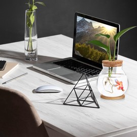 POPETPOP Fish Bowl - Round Small Fish Tank with Wood Stopper & Bamboo Mat, 5.11 X 5.50 Inch Glass Betta Fish Tank, Multipurpose Clear Fish Aquarium for Succulent Plants, Hydroponic Air Plant