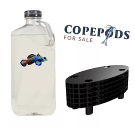 Copepods For Sale 32 Oz, Tisbe, Trigio, Apo Copepods- FREE QUICK SHIP - Pod Hotel Bundle