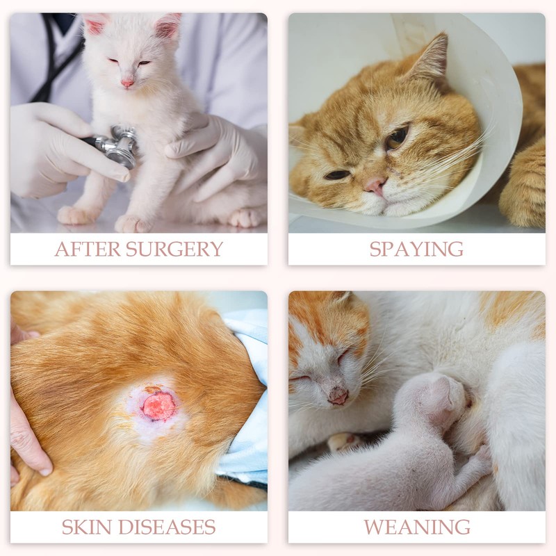 ANWA Cat Recovery Suit - Breathable Cat Onesie for Cats