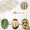 6 púas de esponjas exfoliantes para la cara, esponja limpiadora