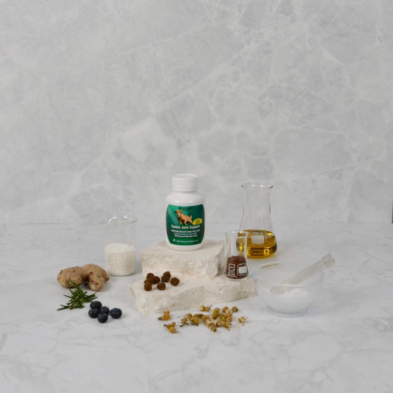 Vetalogica Canine Joint Support for Dogs 120 Chews