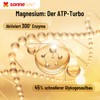 SonneSee Magnesium Komplex, 180 Kapseln, 5-fach Komplex mit Trimagnesiumdicitrat, Magnesiumoxid,