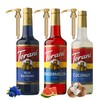 Summer Syrup 3 Pack- Blue Raspberry, Watermelon & Coconut-Italian Soda