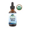 Organic Liquid Stevia Sweetener – Alcohol Free and Kosher Sugar