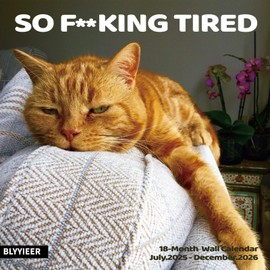 2026 Wall Calendar,Cat Calendar 2026,So tired cat Monthly Wall Calendar, 12" x 24" Open,Family Planner Calendar Organizer with Maine coon Images, for Cats Lovers