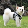 Cat Lead Set for Cats, Polyester Adjustable Cat Harness with