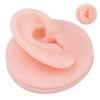 Professional Soft Silicone Ear Model Fake Ear Display Sample Ear