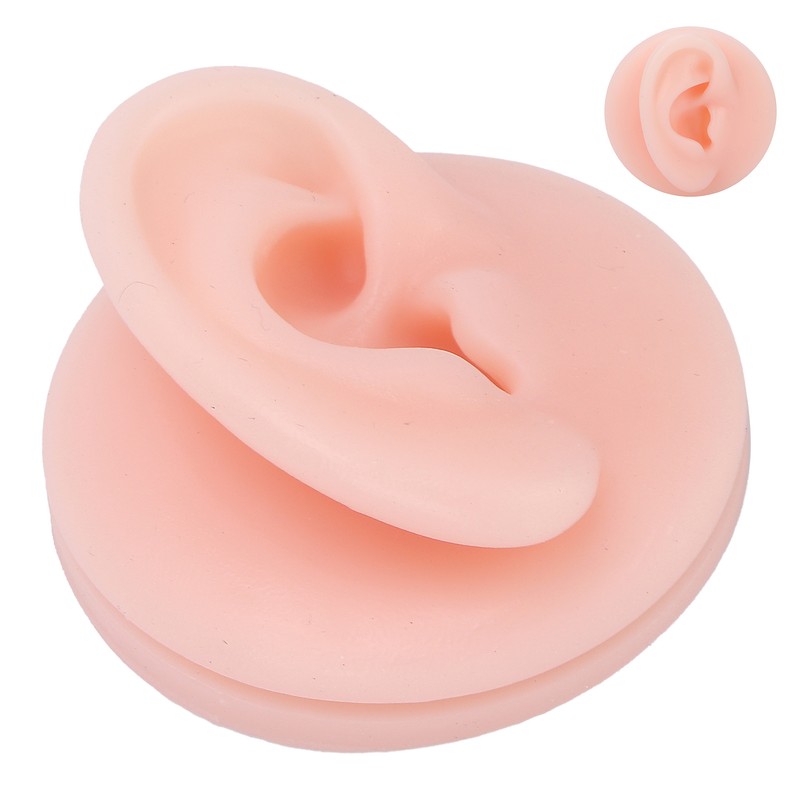 Professional Soft Silicone Ear Model Fake Ear Display Sample Ear