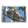Mother Baby Koala Bear Classic Fridge Magnet - Cute Animal