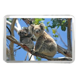 Mother Baby Koala Bear Classic Fridge Magnet - Cute Animal Wildlife Gift #15832