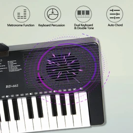 61 Key Keyboard Piano for Beginners with Lighted Keys & Pro Teaching Modes,Includes Stand, Bench, Microphone, Music Stand,70 Demos, 200 Rhythms/Tones, Gift for Beginners