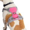EveryYay Front Walking Reflective Dog Harness, Pink, Medium