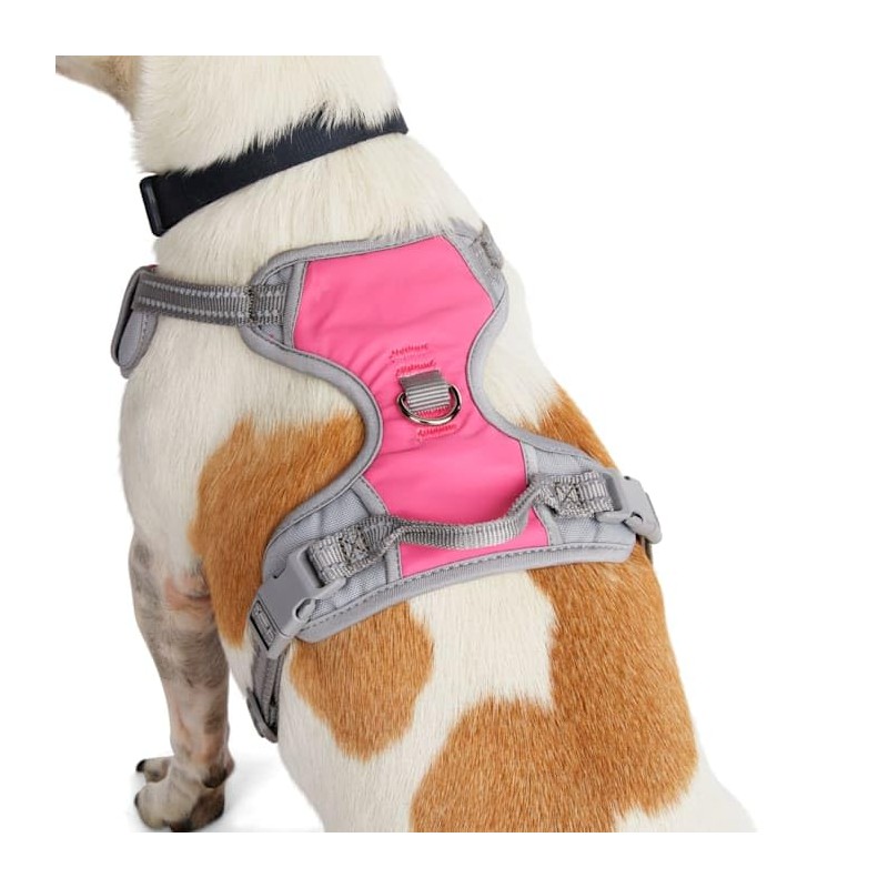 EveryYay Front Walking Reflective Dog Harness, Pink, Medium