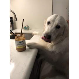 Green Coast Pet Pawnut Butter with Honey