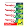 Pepsodent Active Fresh Toothpaste with Fluorine and Calcium to Protect